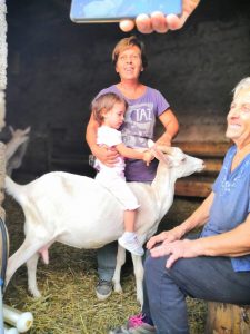 Visita e Degustazione - Azienda Agricola L'Arenaro turismo esperienziale degustazione mungitura capre