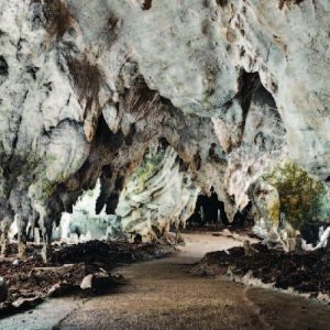Grotte del Bussento e Oasi WWF, Morigerati